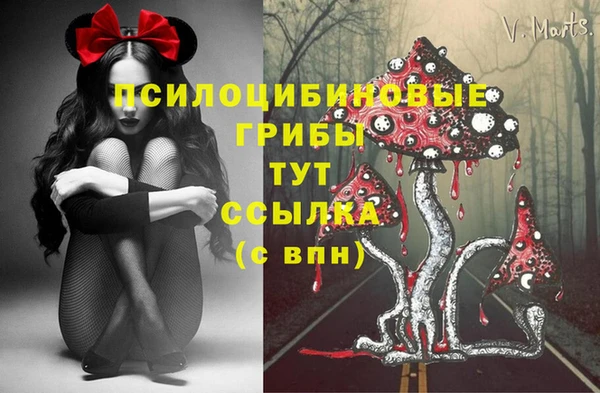 Альфа ПВП Михайлов